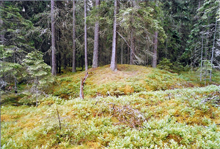 Gravfält i Övre Ullerud